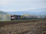 A long string of tank cars